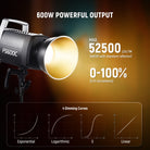 NEEWER FS600C 600W COB Light